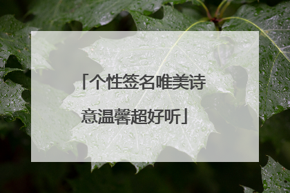 个性签名唯美诗意温馨超好听