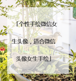 个性手绘微信女生头像,适合微信头像女生手绘