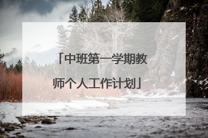 中班第一学期教师个人工作计划
