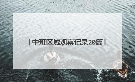 中班区域观察记录20篇