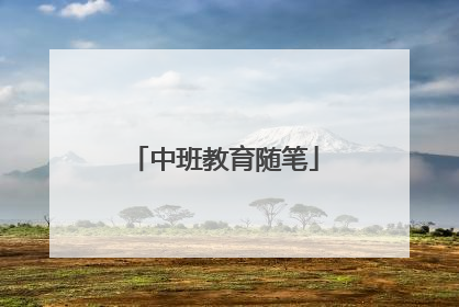 中班教育随笔