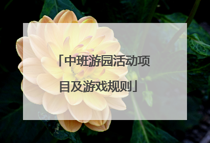 中班游园活动项目及游戏规则