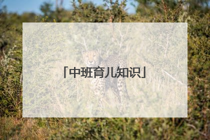 中班育儿知识