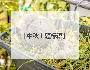 中秋主题标语