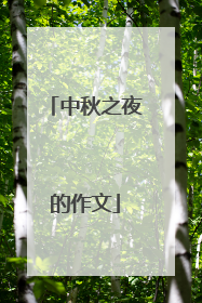 中秋之夜的作文