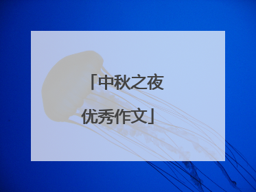 中秋之夜优秀作文