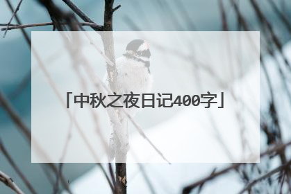 中秋之夜日记400字