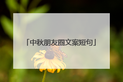 中秋朋友圈文案短句