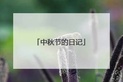 中秋节的日记