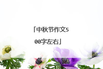 中秋节作文500字左右
