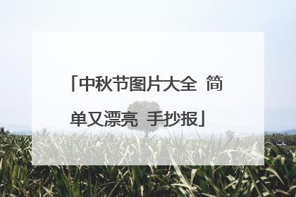 中秋节图片大全 简单又漂亮 手抄报