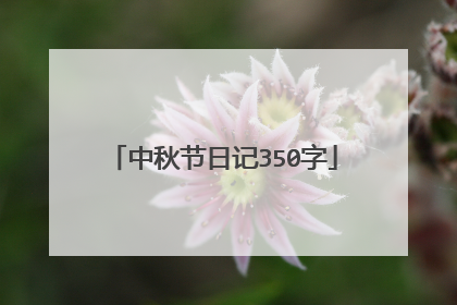 中秋节日记350字