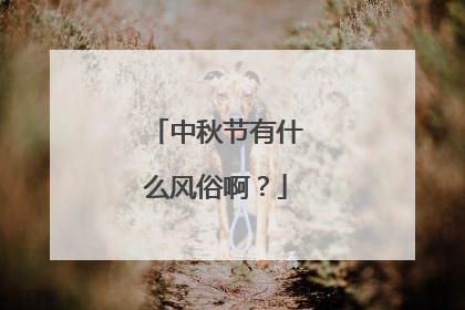 中秋节有什么风俗啊？
