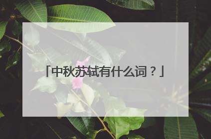 中秋苏轼有什么词？