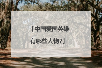 中国爱国英雄有哪些人物?