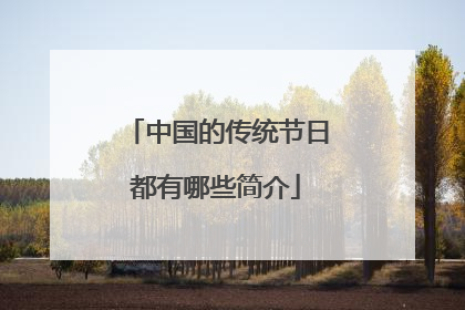 中国的传统节日都有哪些简介