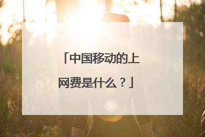 中国移动的上网费是什么？