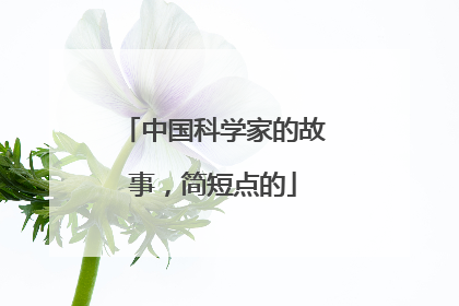 中国科学家的故事，简短点的