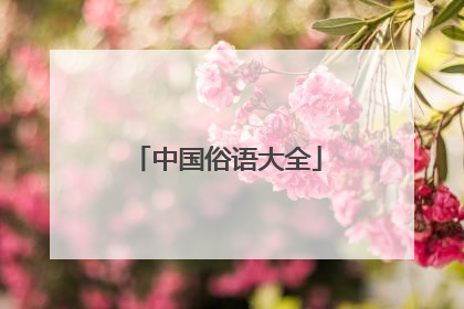 中国俗语大全