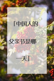 中国人的父亲节是哪一天