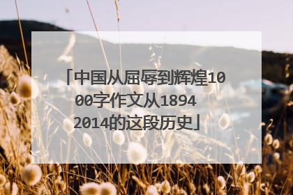 中国从屈辱到辉煌1000字作文从1894∼2014的这段历史