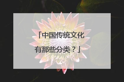 中国传统文化有那些分类？