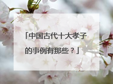 中国古代十大孝子的事例有那些？