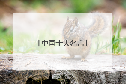 中国十大名言