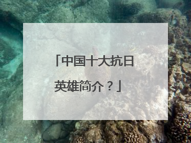 中国十大抗日英雄简介？