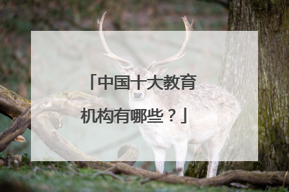 中国十大教育机构有哪些？
