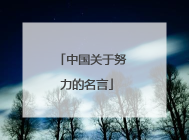 中国关于努力的名言