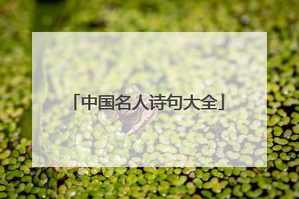 中国名人诗句大全