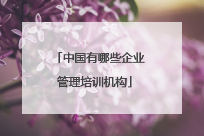 中国有哪些企业管理培训机构