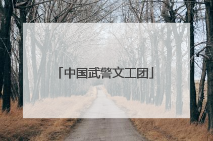 中国武警文工团
