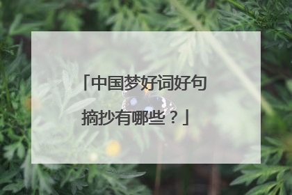 中国梦好词好句摘抄有哪些?