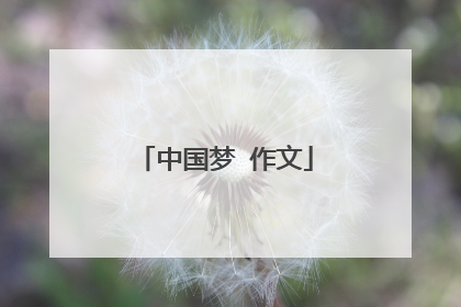 中国梦 作文