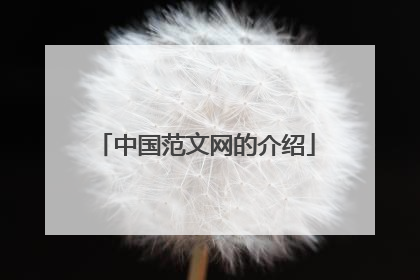 中国范文网的介绍