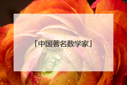 中国著名数学家