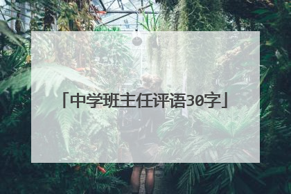 中学班主任评语30字
