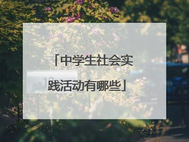 中学生社会实践活动有哪些