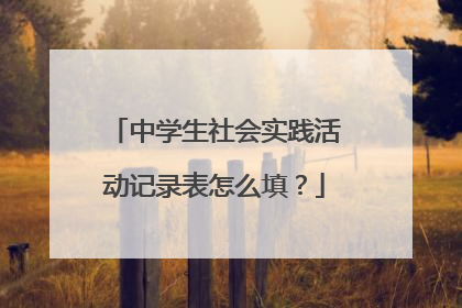 中学生社会实践活动记录表怎么填?