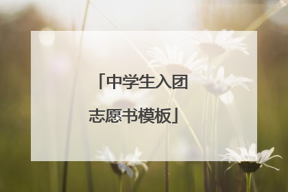 中学生入团志愿书模板
