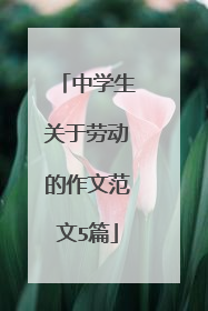 中学生关于劳动的作文范文5篇