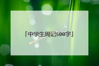中学生周记500字