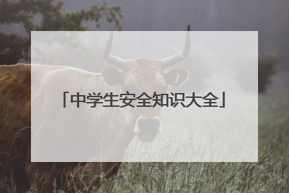 中学生安全知识大全