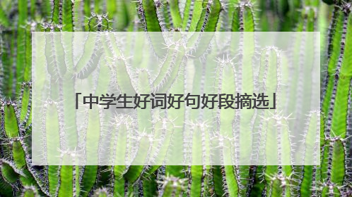 中学生好词好句好段摘选