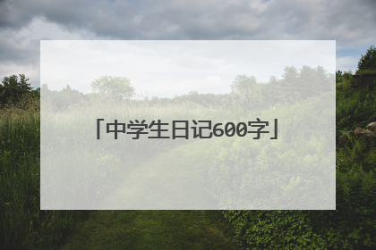 中学生日记600字