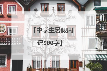 中学生暑假周记500字
