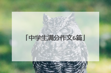 中学生满分作文6篇