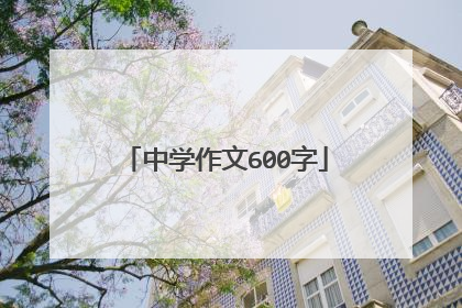中学作文600字